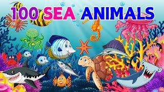 100+ Sea Animals Name | Learn Aquatic animals names and Video | Ocean Animals | English Vocabulary