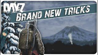 14 Advanced Sakhal Tips You Probably Don't Know in DayZ