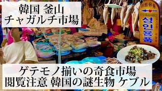 【チャガルチ市場/韓国 釜山】ゲテモノ揃いの奇食市場 韓国の謎生物ケブルを食べてみた