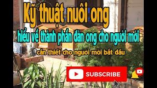 Kỹ thuật nuôi ong - phân biệt cấu tạo đàn ong | Ong Thành Nam