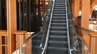 Difference between Lift, Elevator, Escalator and Travelator | Info Talkers