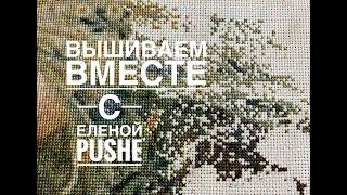 ВЫШИВАЕМ ВМЕСТЕ С ЕЛЕНОЙ PUSHE/ ЖиВАЯ ВЫШИВКА В ПРЯМОМ ЭФИРЕ