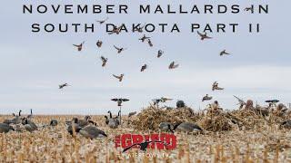 November Mallards in South Dakota Part II | The Grind S10:E6