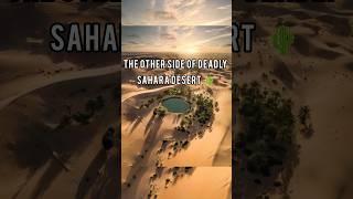 5 Mind Blowing Facts about Sahara Desert   #facts #sahara #desert #youtubeshorts #youtube #yt #fyp