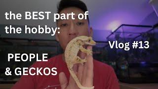 The BEST Part of the Hobby: People & Geckos | Vlog #13 of Zero's Geckos