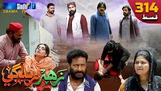 Zahar Zindagi - Ep 314 | Sindh TV Soap Serial | SindhTVHD Drama