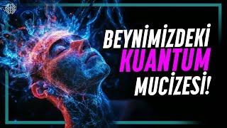 Beynimizdeki Kuantum Mucizesi: Mikrotübüller