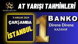 11 Aralık 2024 Çarşamba İstanbul At Yarışı Tahminleri