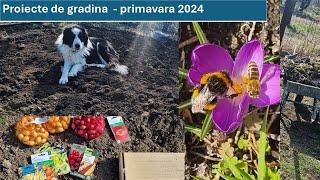 Proiecte de gradina primavara 2024