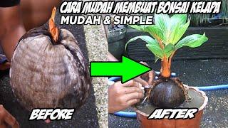 CARA MUDAH MEMBUAT BONSAI KELAPA