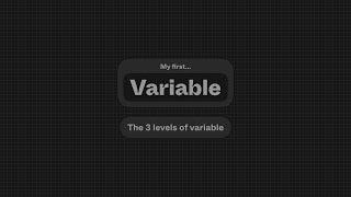 My First Variable: The 3 levels of variable