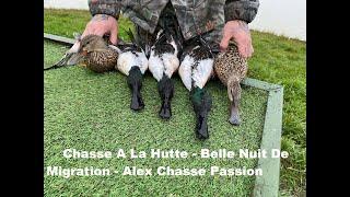 Chasse A La Hutte - Belle Nuit De Migration - Alex Chasse Passion