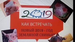 КАК ВСТРЕЧАТЬ НОВЫЙ ГОД 2019 - ЗЕМЛЯНОЙ СВИНЬИ