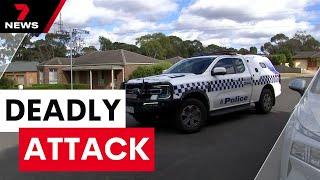 A woman arrested over the stabbing death of her partner | 7NEWS