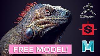 Modeling and Sculpting a Iguana using Maya, Zbrush and Substance Designer (FREE model download!)