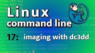 LCL 17 - imaging and verification tools: dd, dc3dd, md5sum - Linux Command Line tutorial forensics
