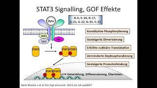 Teil 21: STAT3 GOF Mutation