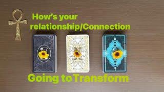 How’s your relationship/ connection going to transform 🪽🪽🪽