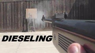 Pellet Rifle DIESELING  -   Good,  Bad or Ugly?