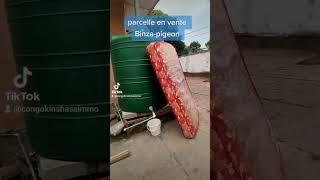 PARCELLE EN VENTE DANS LA COMMUNE DE NGALIEMA À BINZA PIGEON