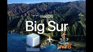 Install NetBeans 8.2 IDE with JDK8 on macOS Big Sur