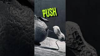 What to Push? #motivationalshorts #shorts #psychology #motivation #shortsfeed #shortvideo #life