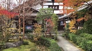 京都 妙心寺 退蔵院庭園（Taizo-in Zen Buddhist Temple Garden）の紅葉 Autumn Leaves 2018 KYOTO JAPAN