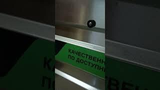 Липецкий прицеп 26 октября 2023 г.