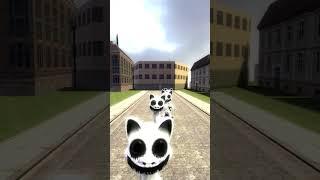 The Shortest Race in school 6 cat vs 1 smily fox zoonomaly animals