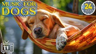 Deep Sleep Music For Dogs: 24 Hours of Cure Separation Anxiety & Calming Stress Relief For Dogs