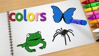 Learn colors with drawings of fruits and animals