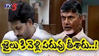 అలగా జనం మాదిరి ఉంటారు..! | Chandrababu Fires on YS Jagan and YCP MLAs in AP Assembly | TV5 News