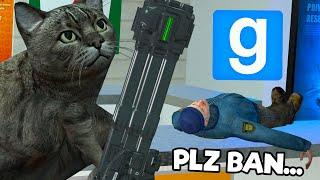 I 100% Should Have Been Banned!!! - Gmod Dark RP Cat Trolling