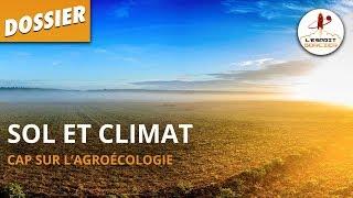 SOL ET CLIMAT - Dossier #6 - L'Esprit Sorcier