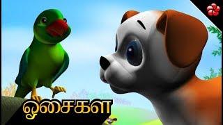 ஓசைகள்  Sounds Song  PUPI Tamil cartoon nursery song for children