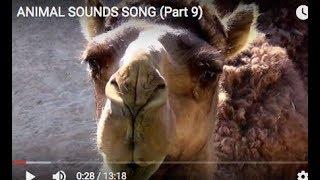 ANIMAL SOUNDS SONG (Part 9) Babies, Toddlers, Preschool, K-3