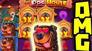 THE DOG HOUSE  BONUS HUNT NON STOP FREE SPINS PAYED HUGE  GREAT WILD SETUP WITH PREMIUMS‼️