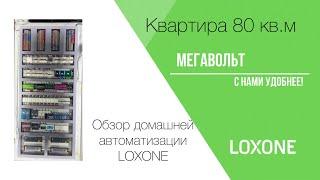 Умный дом Loxone+Wirenboard в квартире 80 кв.Полный обзор #умныйдом #loxone #сборкащитов #wirenboard