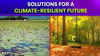 Solutions For A Climate-Resilient Future