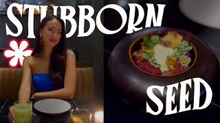 1 MICHELIN STAR | Stubborn Seed, Miami