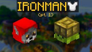 Ironman Full Pets Guide (pt. 1) | Hypixel Skyblock