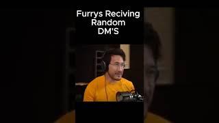 Furry's Getting Random DMs #memes