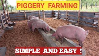 How To START A PIG FARM Business As A BEGINNER! ( DETAILED )