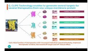 Advancements in Therapeutics Targeting Membrane Proteins: antigen production to candidate validation