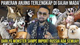 GREBEK PAMERAN ANJING TERLENGKAP DI GAJAH MADA DARI YG MONSTER SAMPE IMPORT RUSSIA ADA SEMUA!!