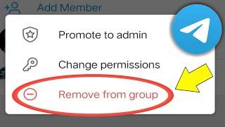 How To Remove Person From Telegram Group