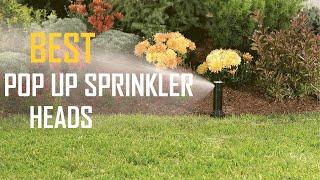 5 Best Pop up Sprinkler Heads for Low Water Pressure/Small Lawn/Flower Beds & Shrubs [Review 2023]