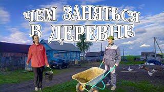 День из жизни в деревне // Наше хозяйство // Посадили кормовую свеклу