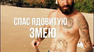 СПАС ЯДОВИТУЮ ЗМЕЮ #SHORTS