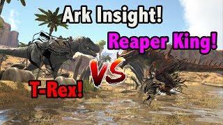 Ark Insight! - T-REX V.S REAPER KING!